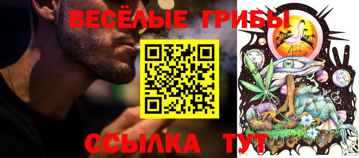 Псилоцибиновые грибы мицелий  Вход с VPN  Санкт-Петербург  Галлюциногенные грибы мухоморы 